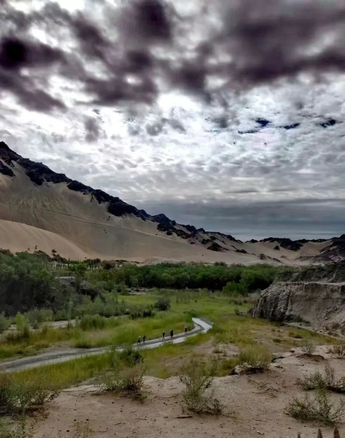 1769562295102884.png image.png